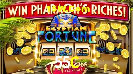 55C - Aplicativo Móvel