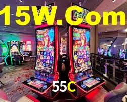 55C App Interface