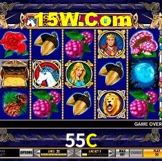 55C Salvador - Statistics