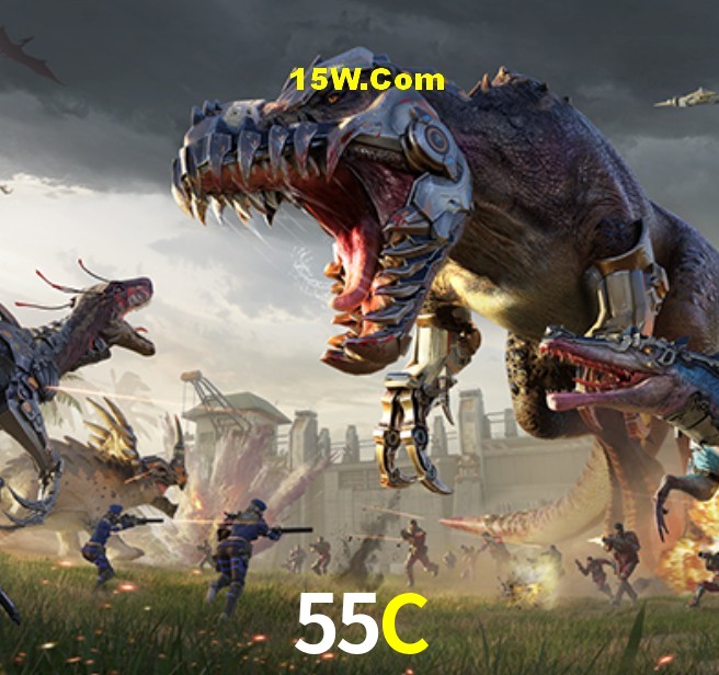 Estatísticas do Jogo 55C