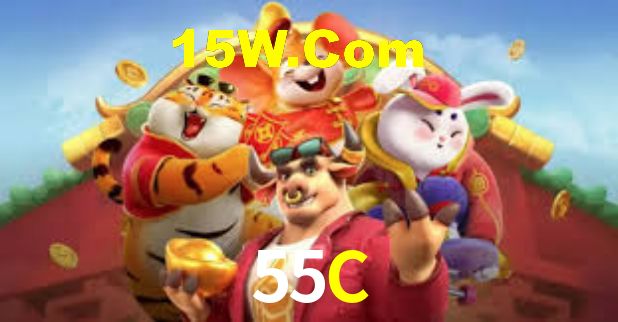 55C - Installation Guide